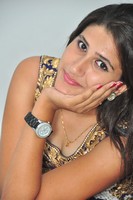 Manisha Gallery